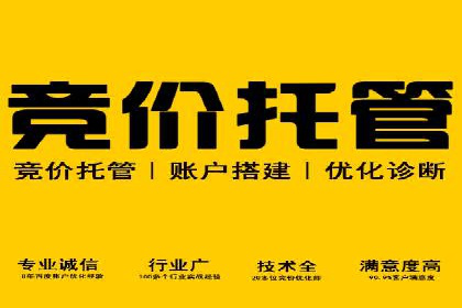 百度SEM代运营案例详解：广告策略与执行
